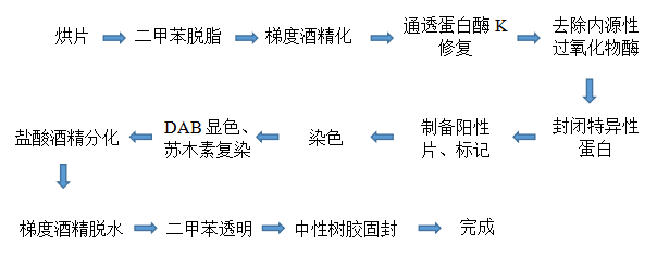 图片 52.png
